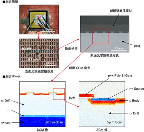 scm分析|[SCM]走査型静電容量顕微鏡法・